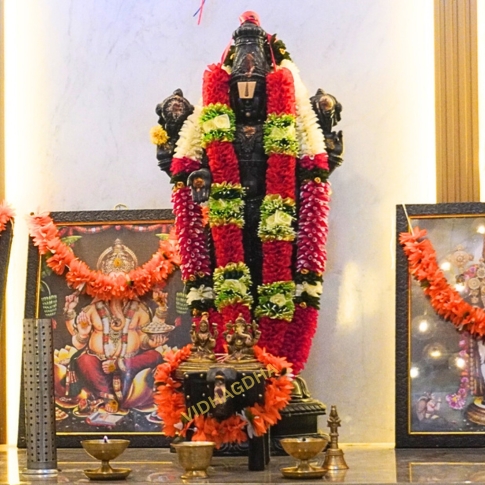 VIDHAGDHA