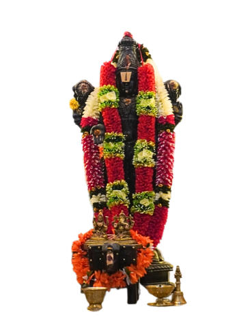 Vidhagdha Party Hall-02